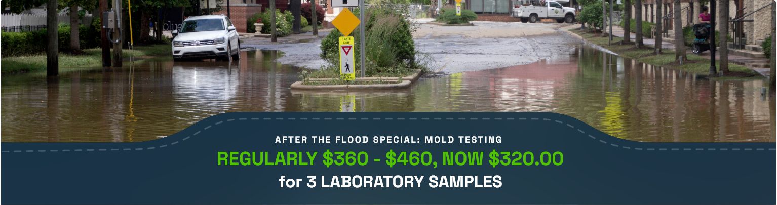 After Flood Special Offer for Mold Testing